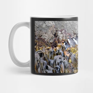 Snares Crested Penguins Mug